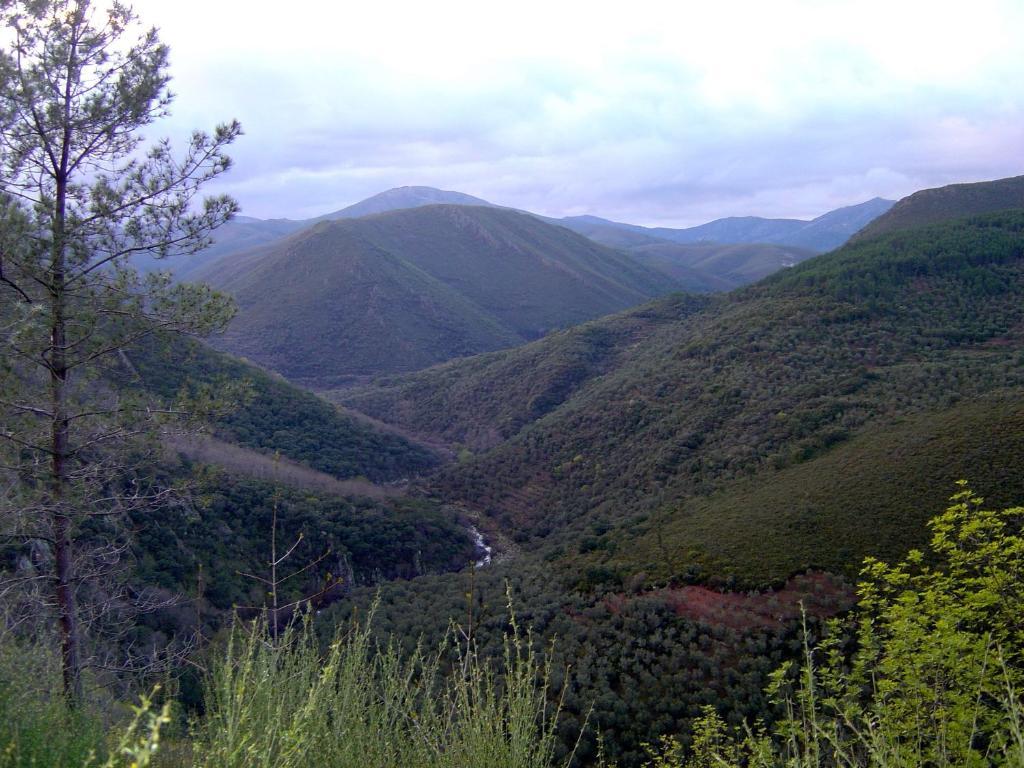 Alojamientos La Herrera San Esteban de la Sierra Oda fotoğraf